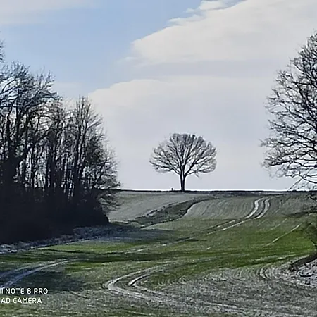 L'oasis Verte Daire *